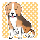 ���ʂƂ���Ȃ̂�