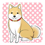 ���ʂƂ���Ȃ̂�