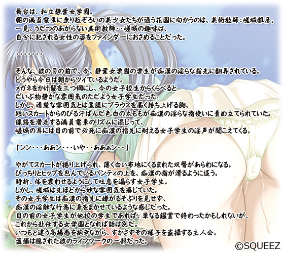 �y���J�������w���z�̃X�g�[���[