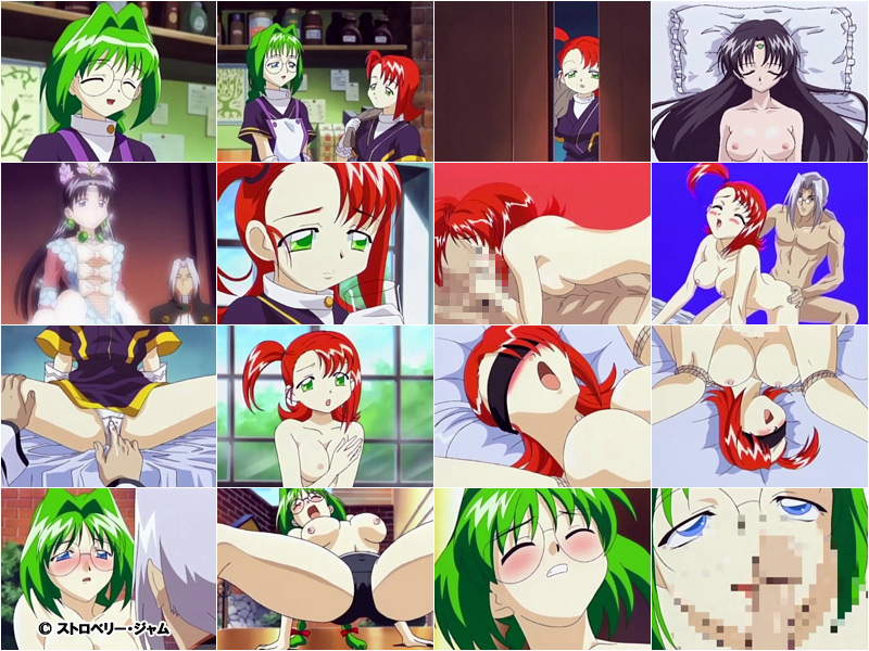 �y�l���l�ԃA���A�@�`�~�X�����f�B�A�̕��Q�`�z�̃V�[��1