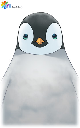 �摜3