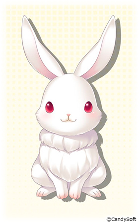 �摜7