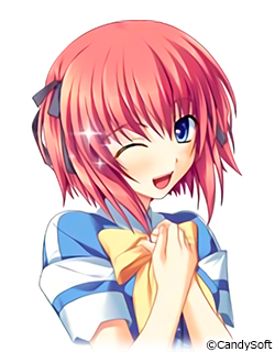 �摜2