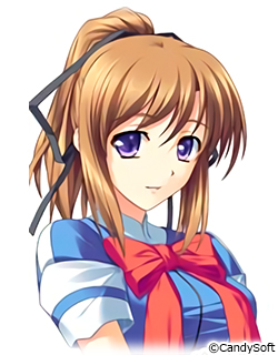 �摜5