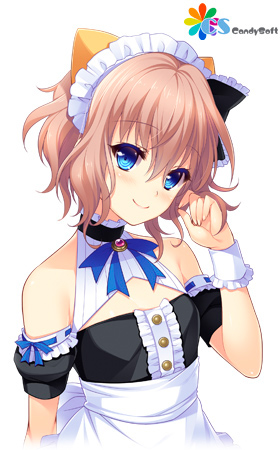 �摜11