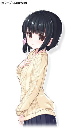 �摜3