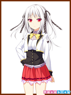 �X�L���i