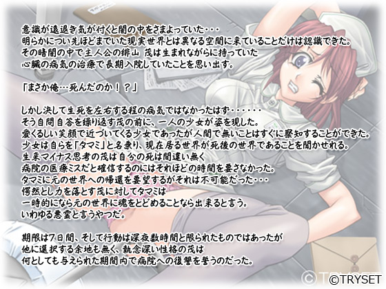 �y���ْp�� �`�p�J�ɔG��锒�߁`�z�̃X�g�[���[