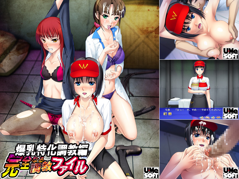 �y���S�Ȃ钲���t�@�C���@�������������ҁz�C�x���gCG01