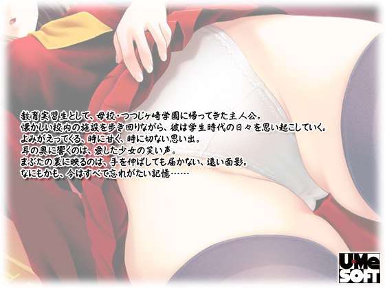 �y�t�F�` �`���� �S���ҁ`�z�̃X�g�[���[