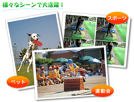 �C���[�W�l�X�ȗp�r