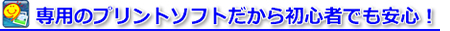��p�̃v�����g�\�t�g�����珉�S�҂ł����S�I