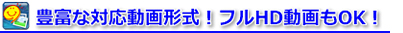 �L�x�ȑΉ�����`���I�t��HD�����OK�I
