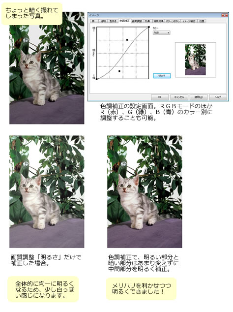 �F���␳