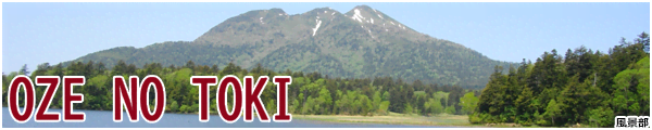 [���i��]OZENOTOKI